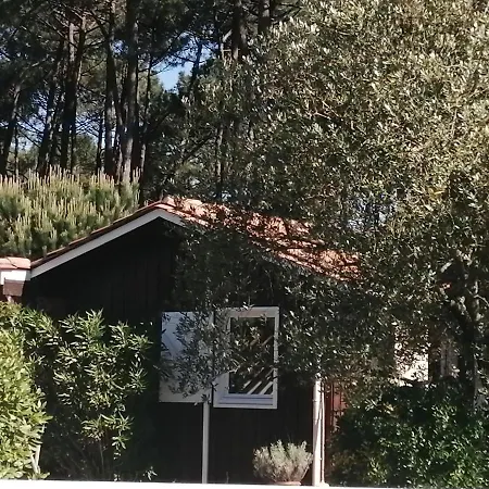 Maison Familiale En Bois Avec Piscine, Proche Du Bassin 居让梅斯特拉